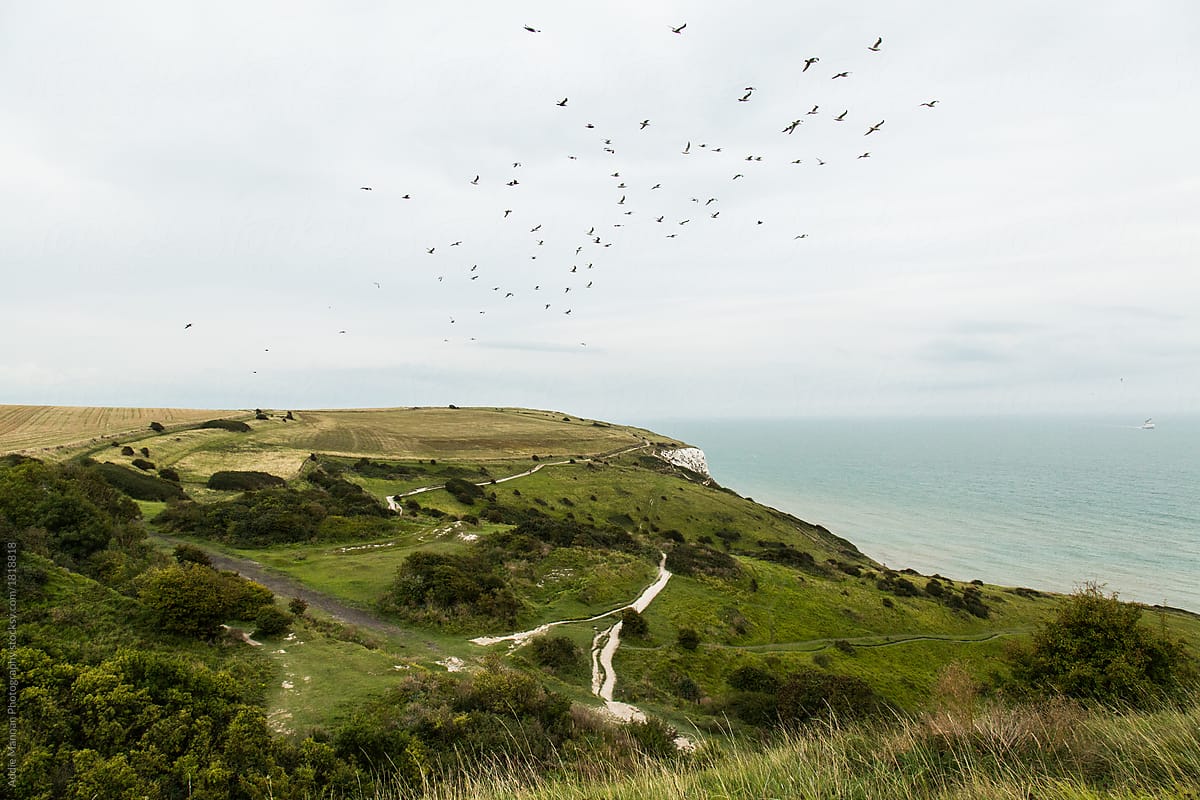 Soaring the Countryside of Dover
