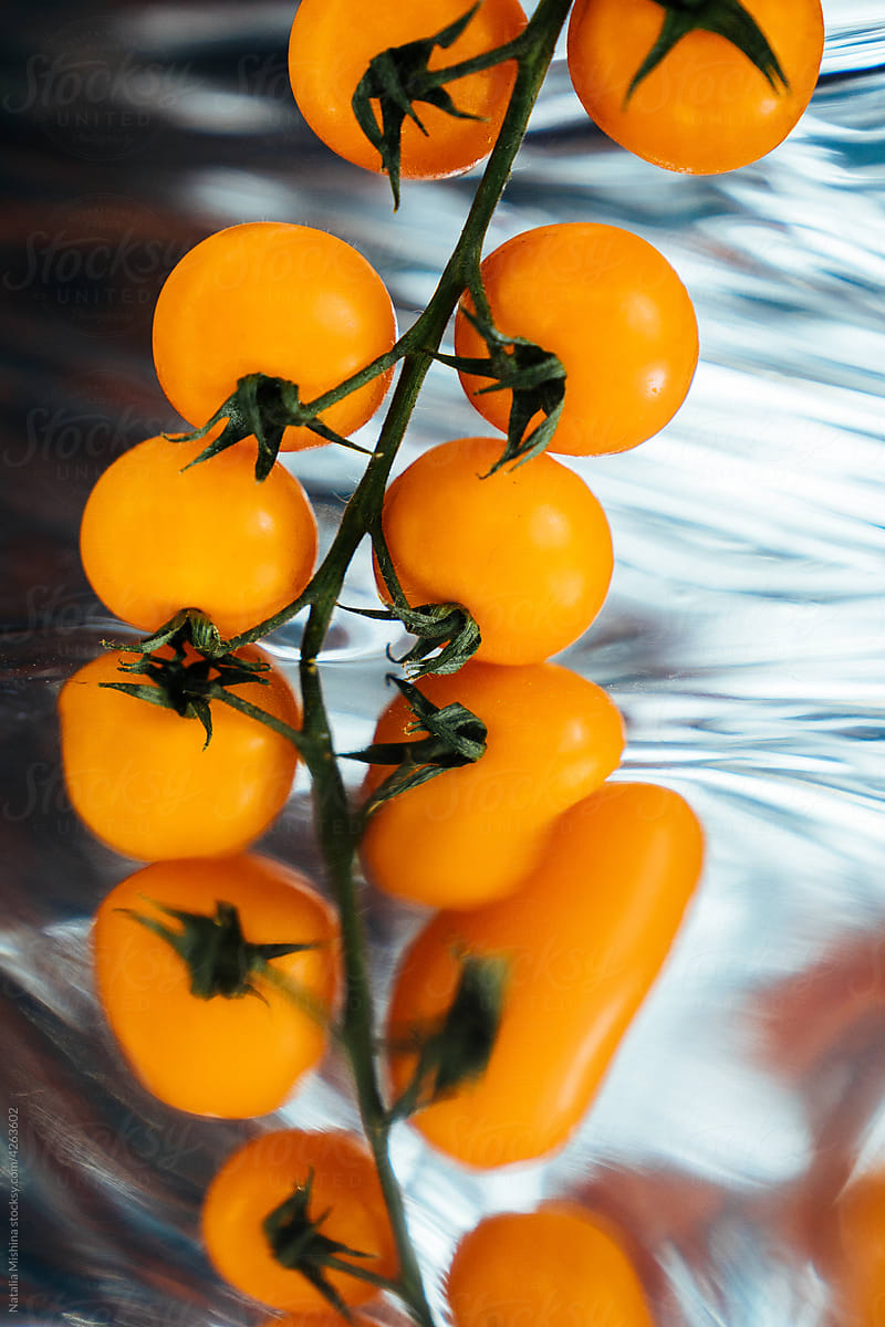 Cherry tomatoes branch orange color.