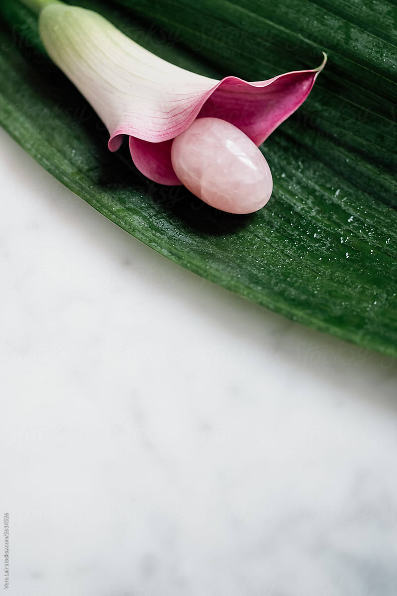 Pink quartz yoni egg inside a calla flower