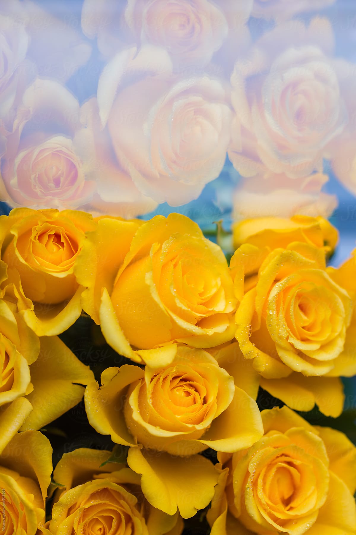 Bouquet of Yellow Roses Next to the Window