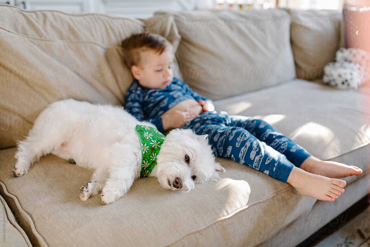 Cute young boy in a pajama hanging out with his dog on a couch
