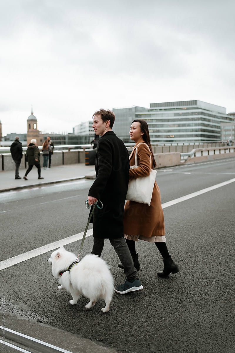 Couple with a dog crossing the street