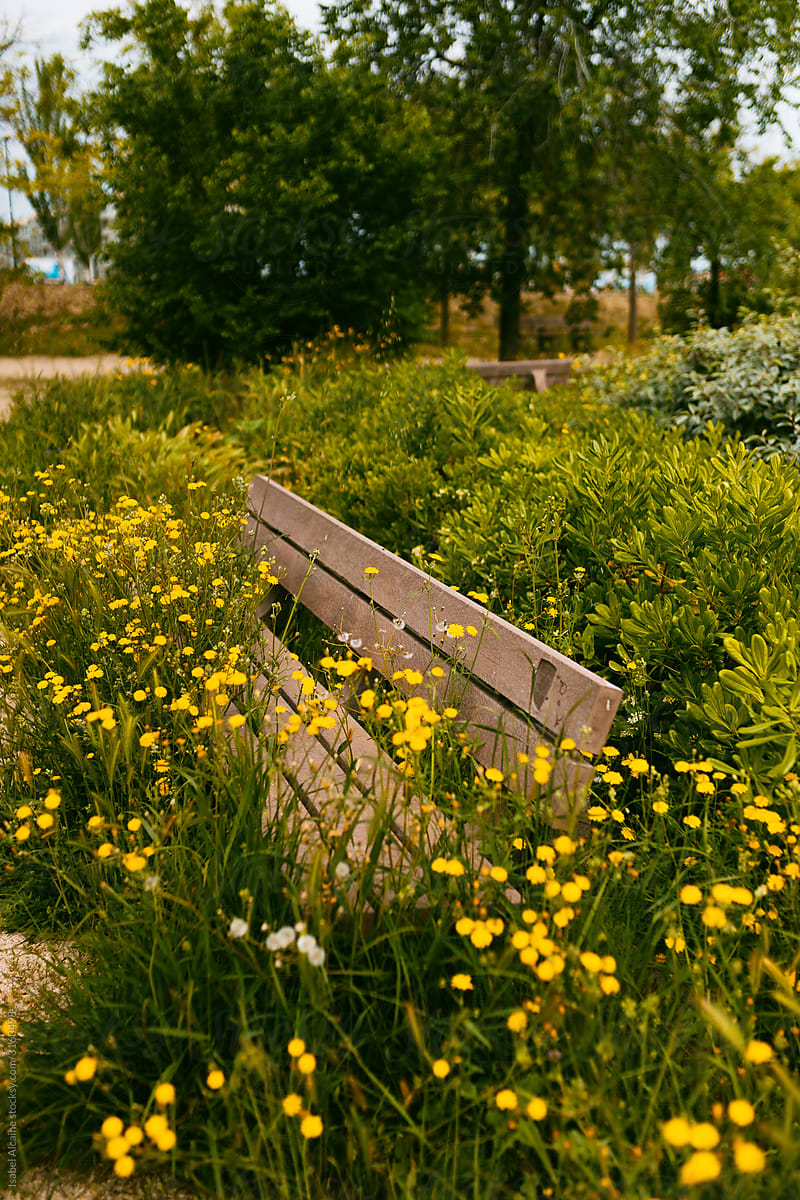 Bench in a park covered with weeds, flowers and plants.