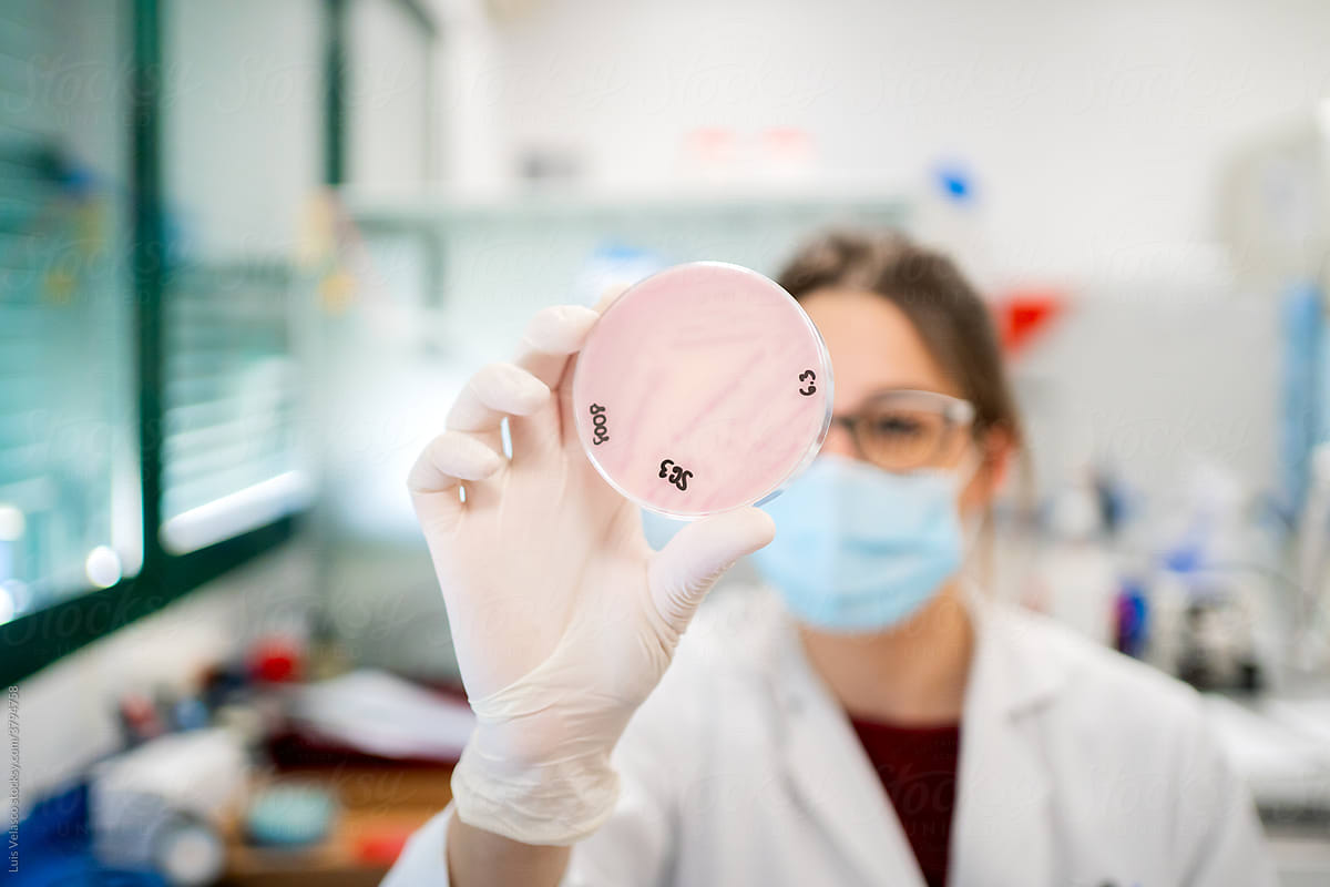 Woman Doing Science Research In A Lab With Petri Dishes