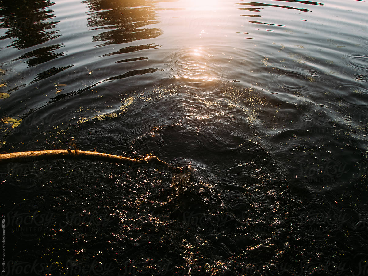 The surface of the water at sunset.