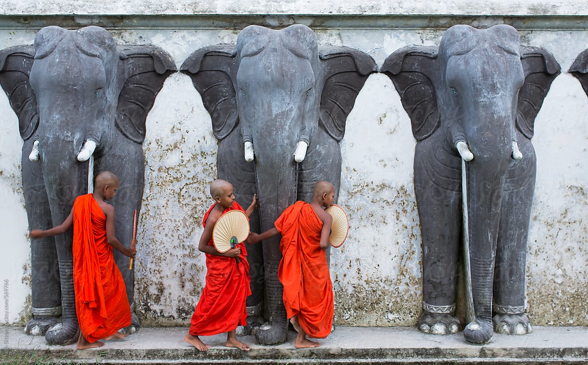 Novice monks feeding monkeys outside temple.