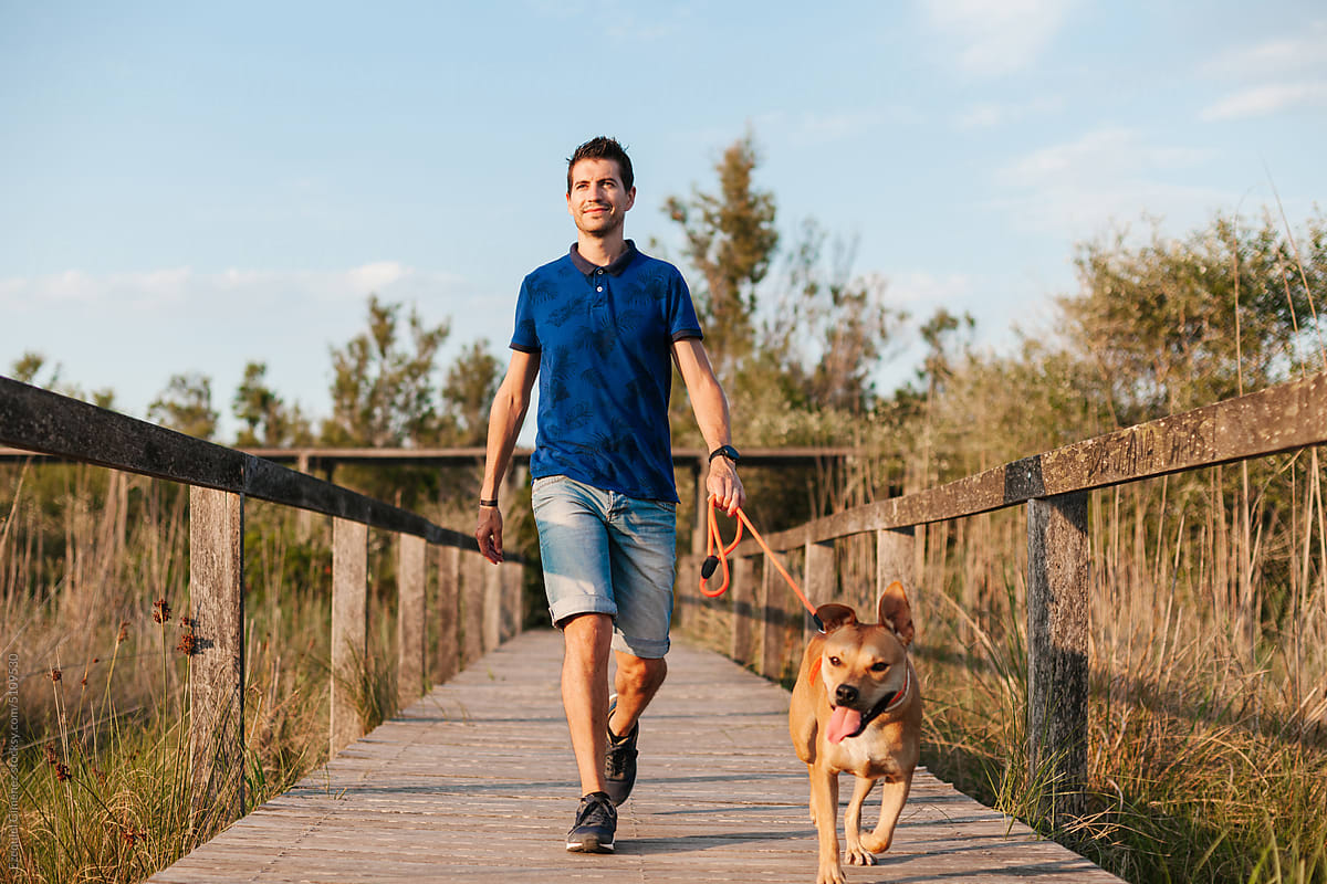 Man with dogs walking on wooden path