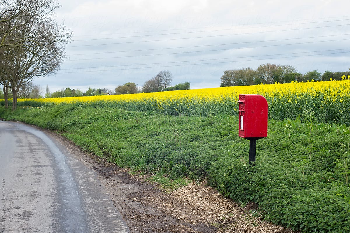 Red post box by side of the road with field of yellow plants