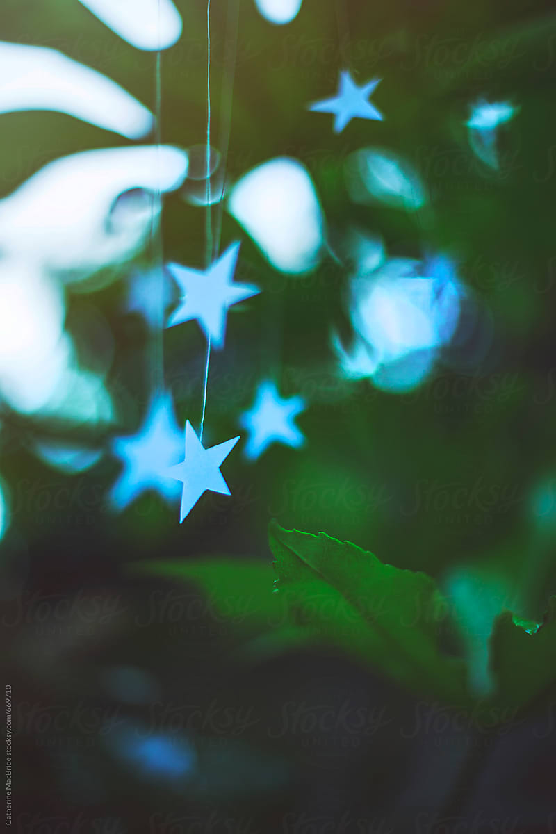 "Seeing Stars..." by Stocksy Contributor "Catherine MacBride" Stocksy