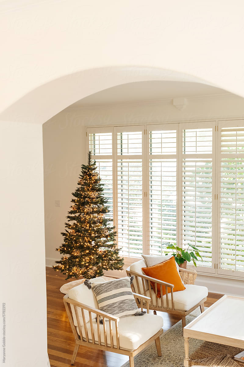 Home Living Room with Christmas Tree