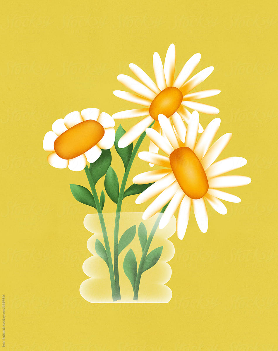 Daisy Flowers in Vase on colorful background. Natural Floral backdrop