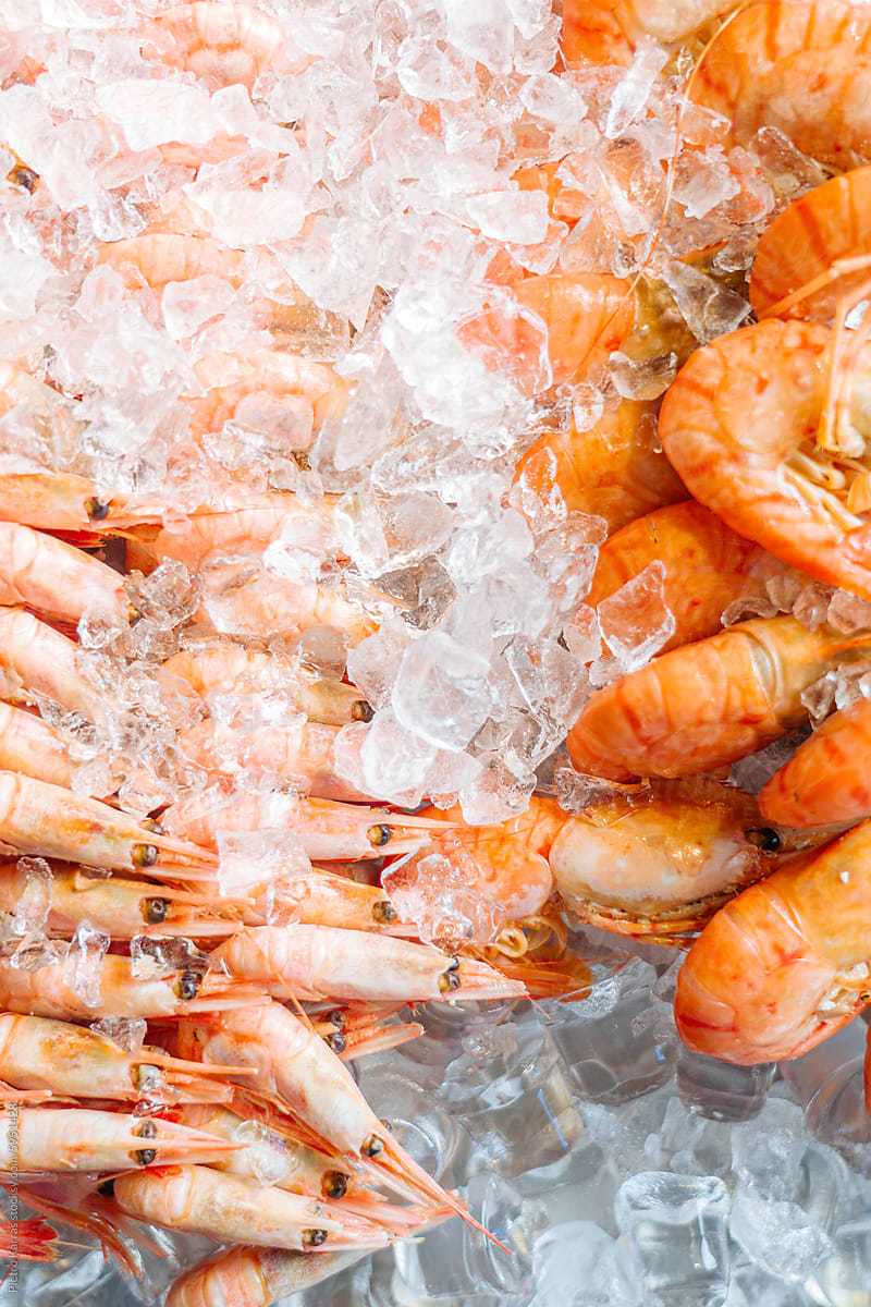 Close Up of shrimp on Ice