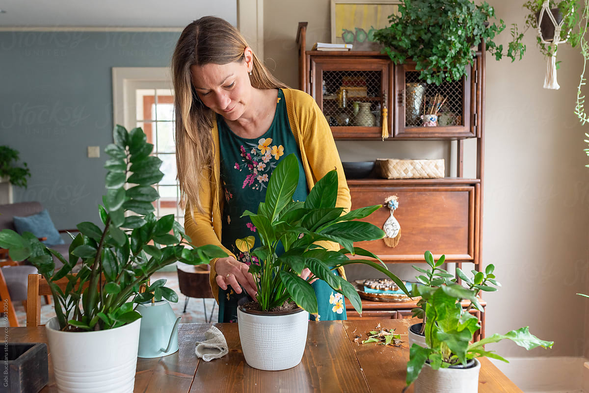 Woman caring for a houseplant