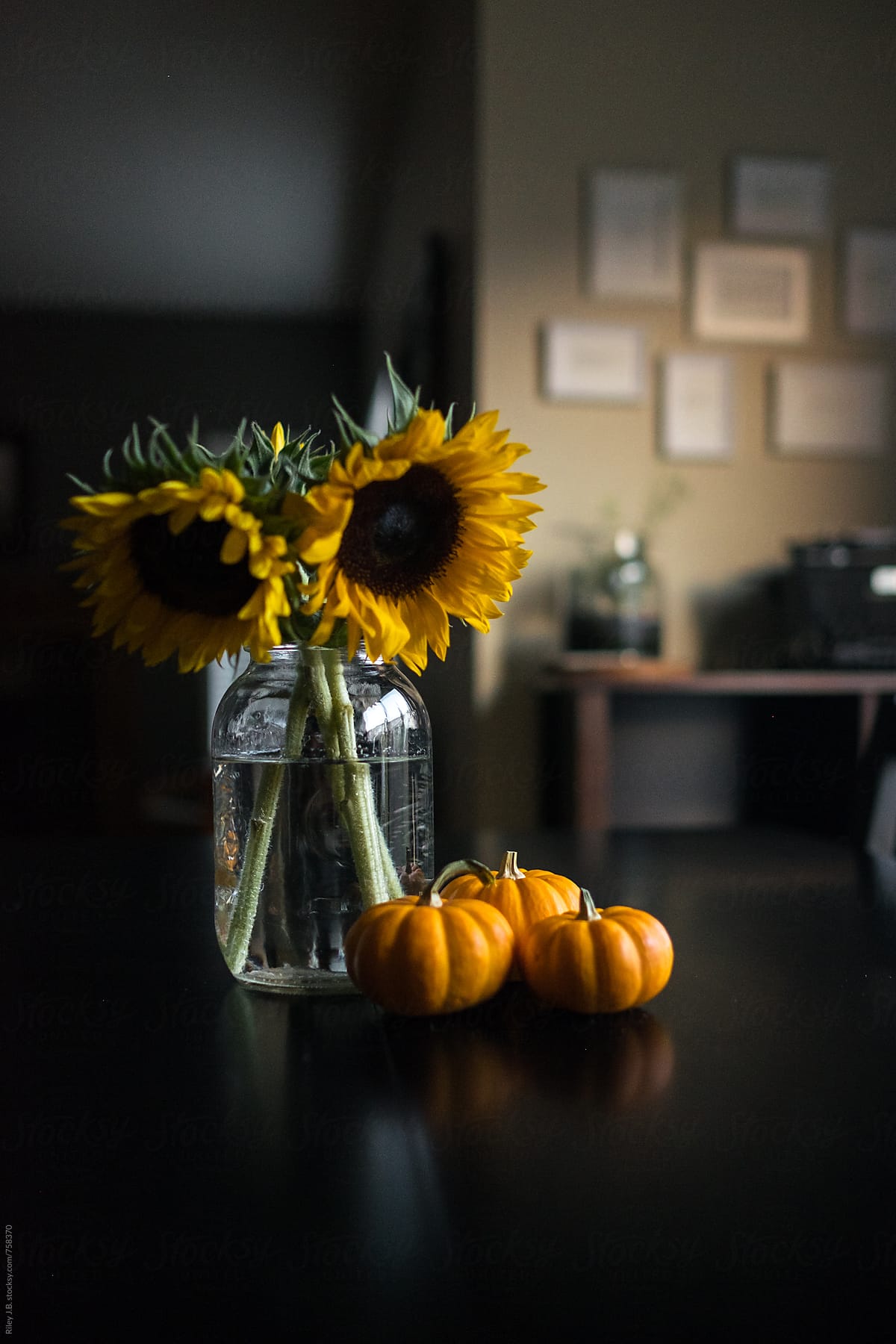 Small pumpkins sit next to a mason jar with sunflowers.