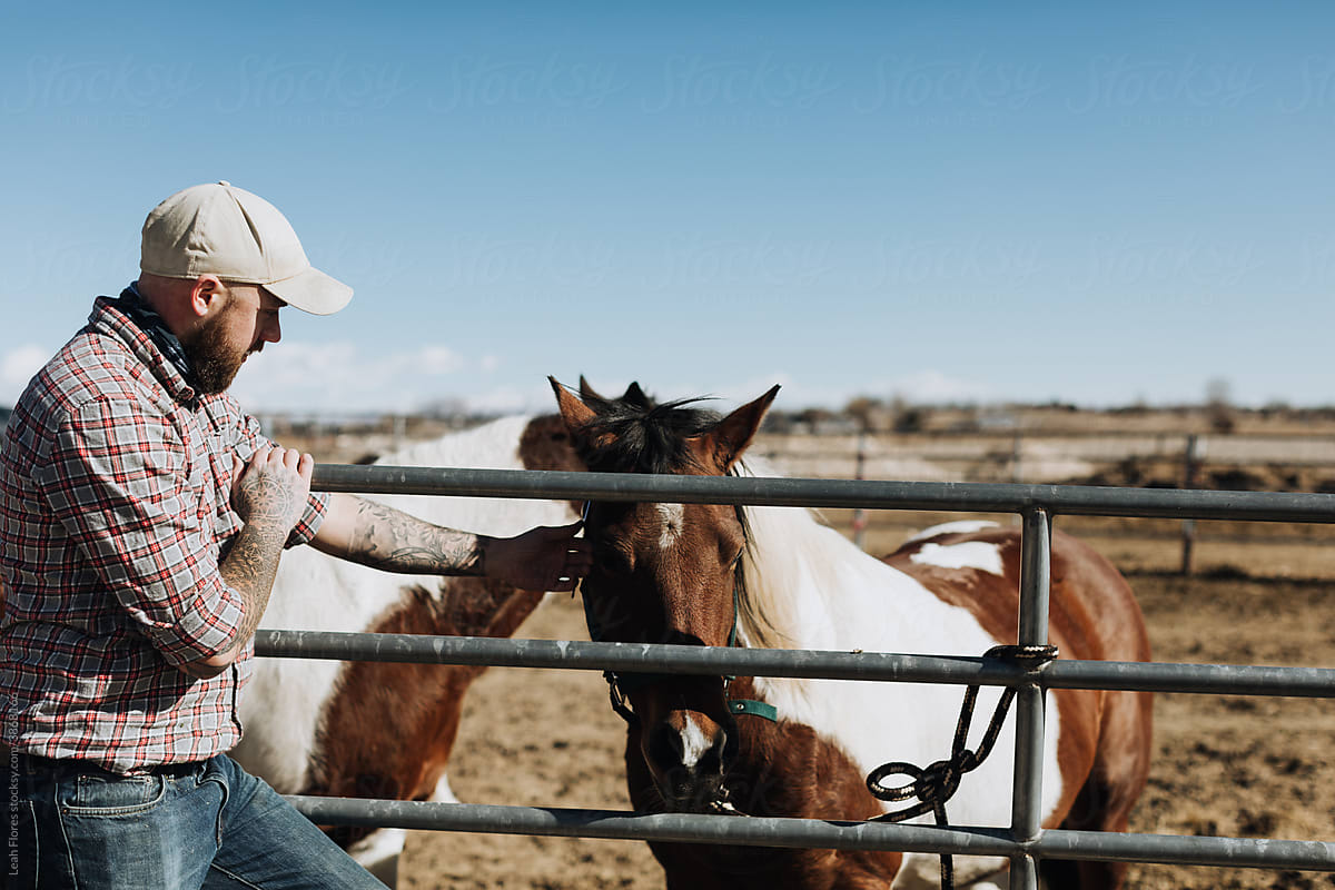 A Rancher Pets a Horse through a Fence