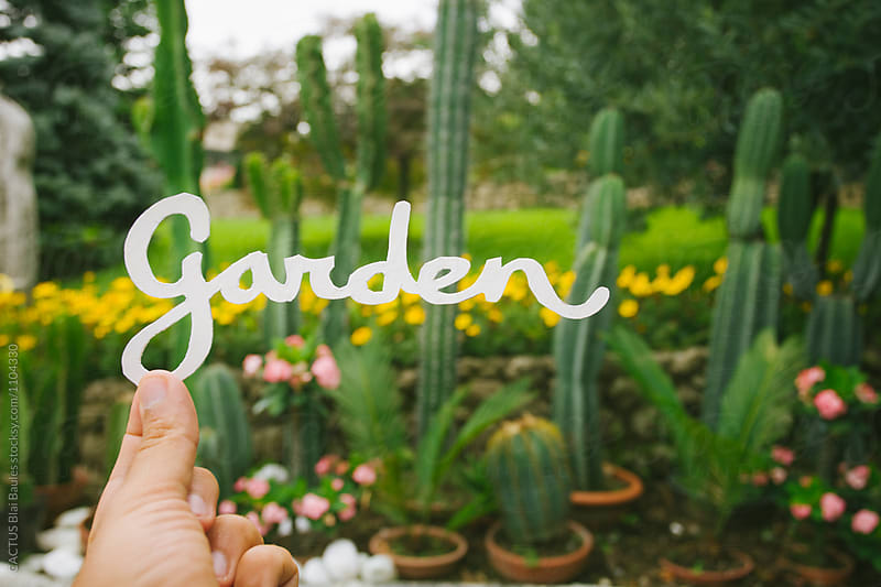 Papercut letters in the garden