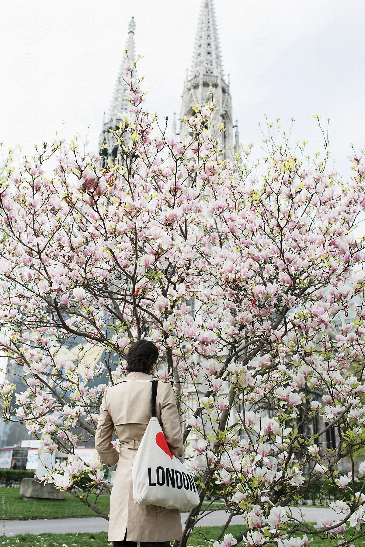 Back view of a young woman standing in front of a big magnolia tree