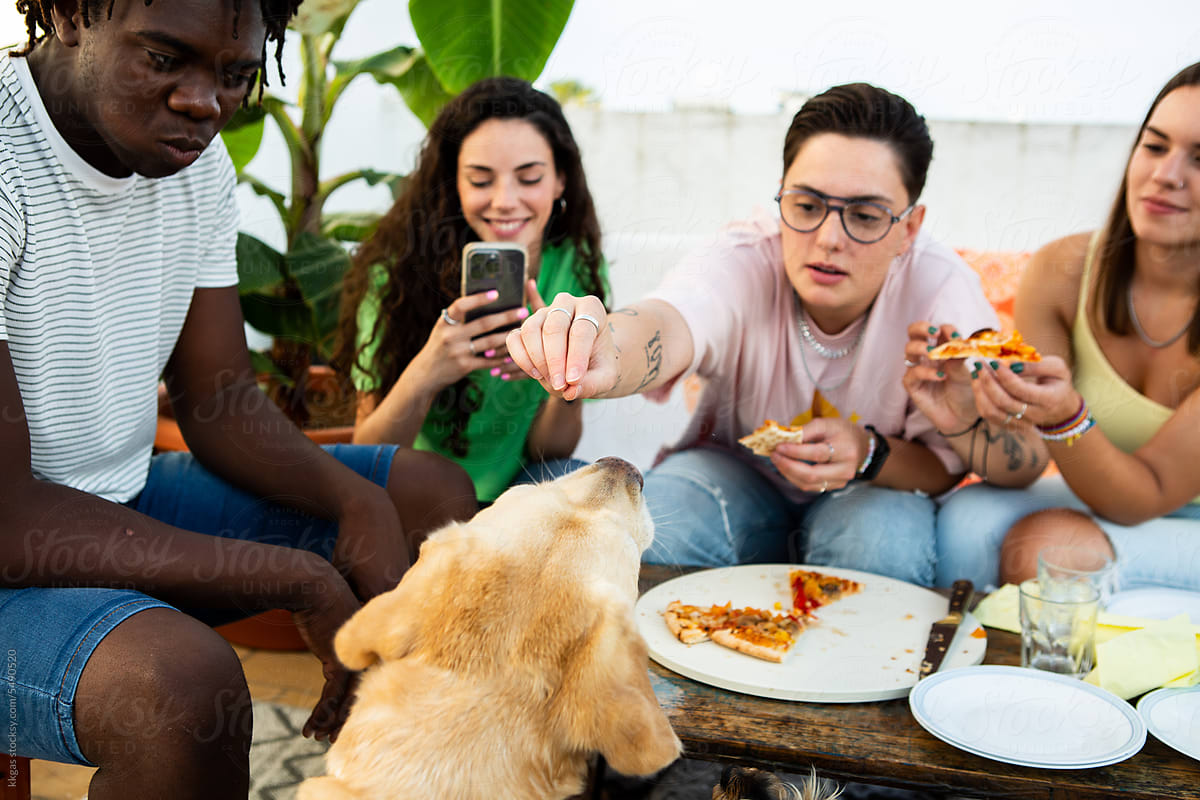 Group of friends sharing pizza with a dog