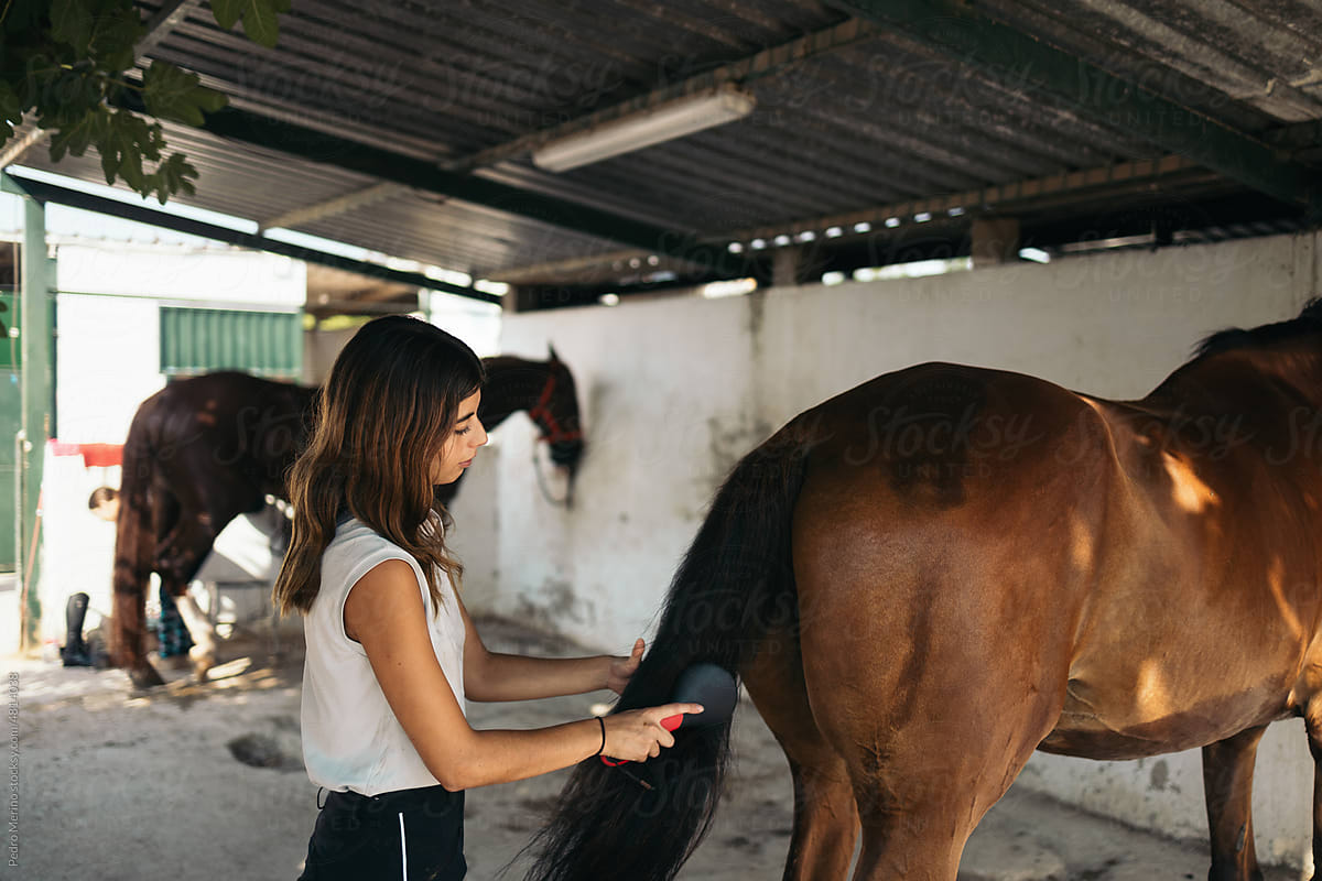 Woman brushing her horse in a stable