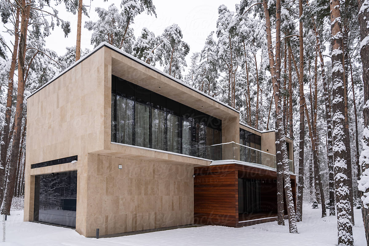 Modern House In Snowy Forest