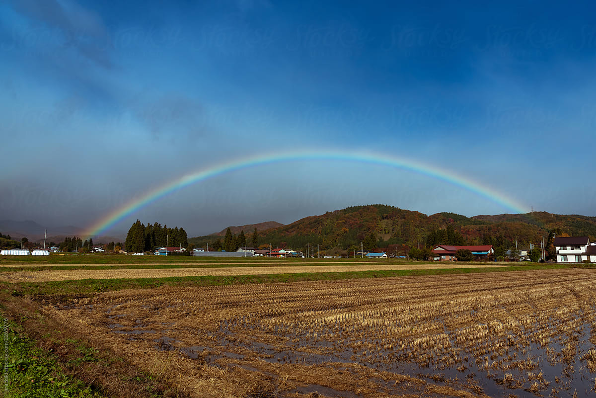 rainbow above ricefeild in Japan