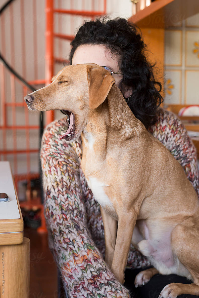 Dog Yawns on owner\'s legs