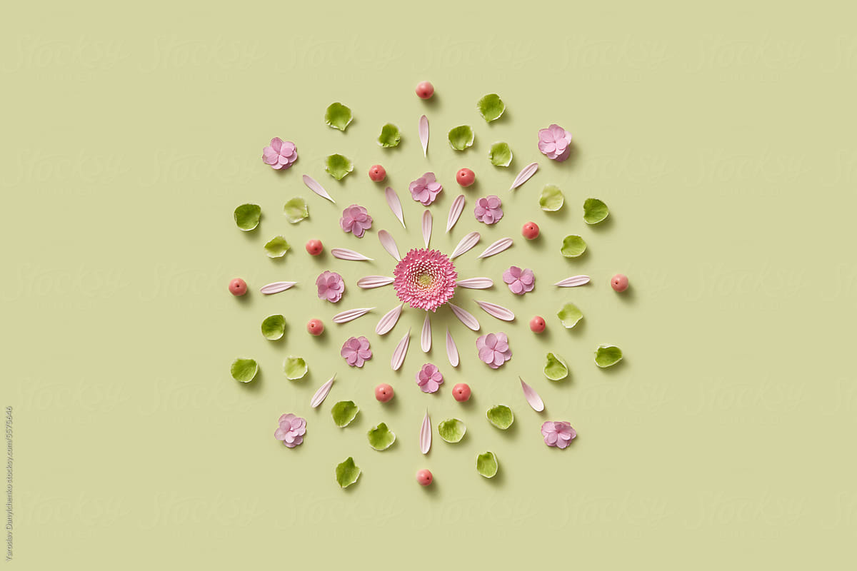 Top view of neatly arranged circle of flowers and leaves