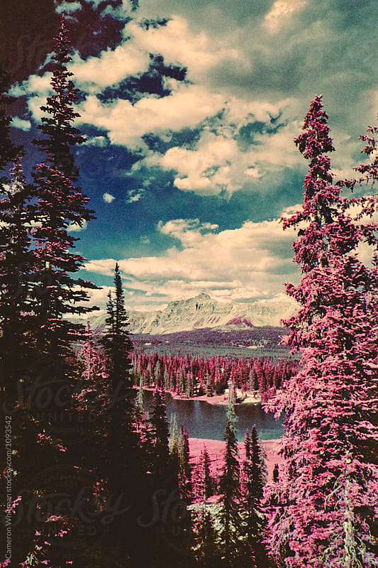 High Uinta Mountains In Infrared