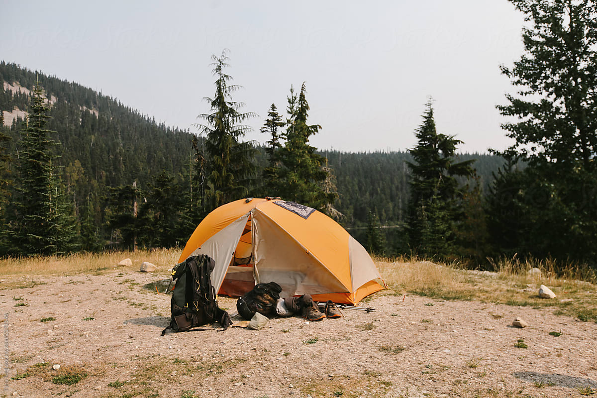 tent and camping equipment set up on forest trail