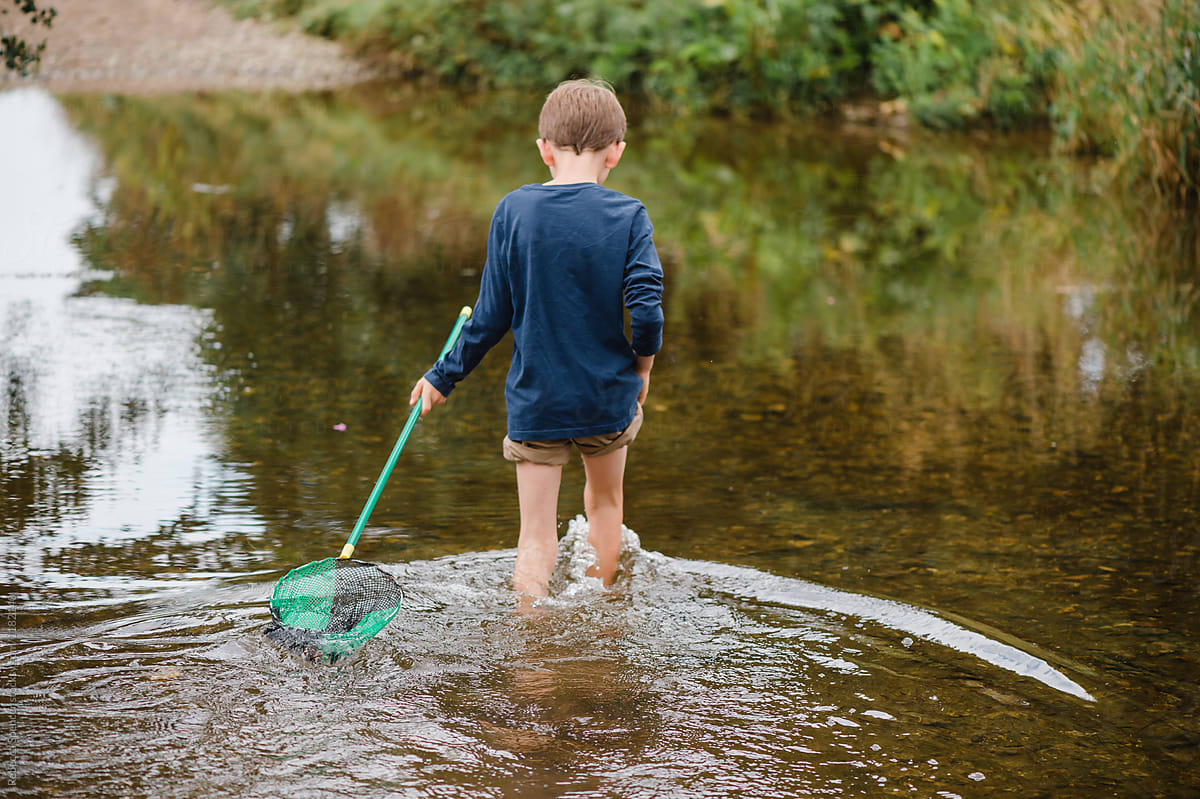 Child Trying To Catch Fish With A Fishing Net by Stocksy Contributor  Rebecca Spencer - Stocksy