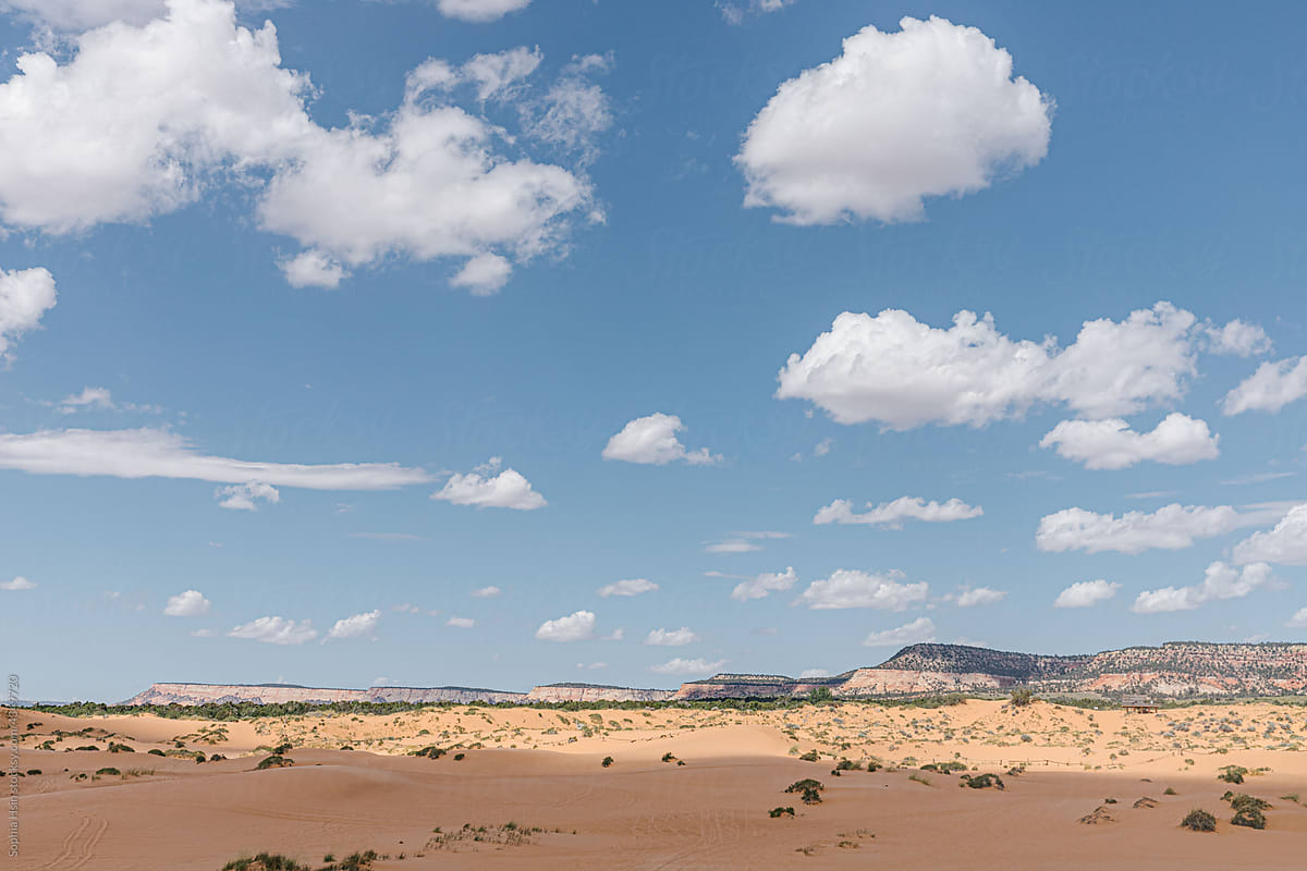 Landscape of sand dunes in utah