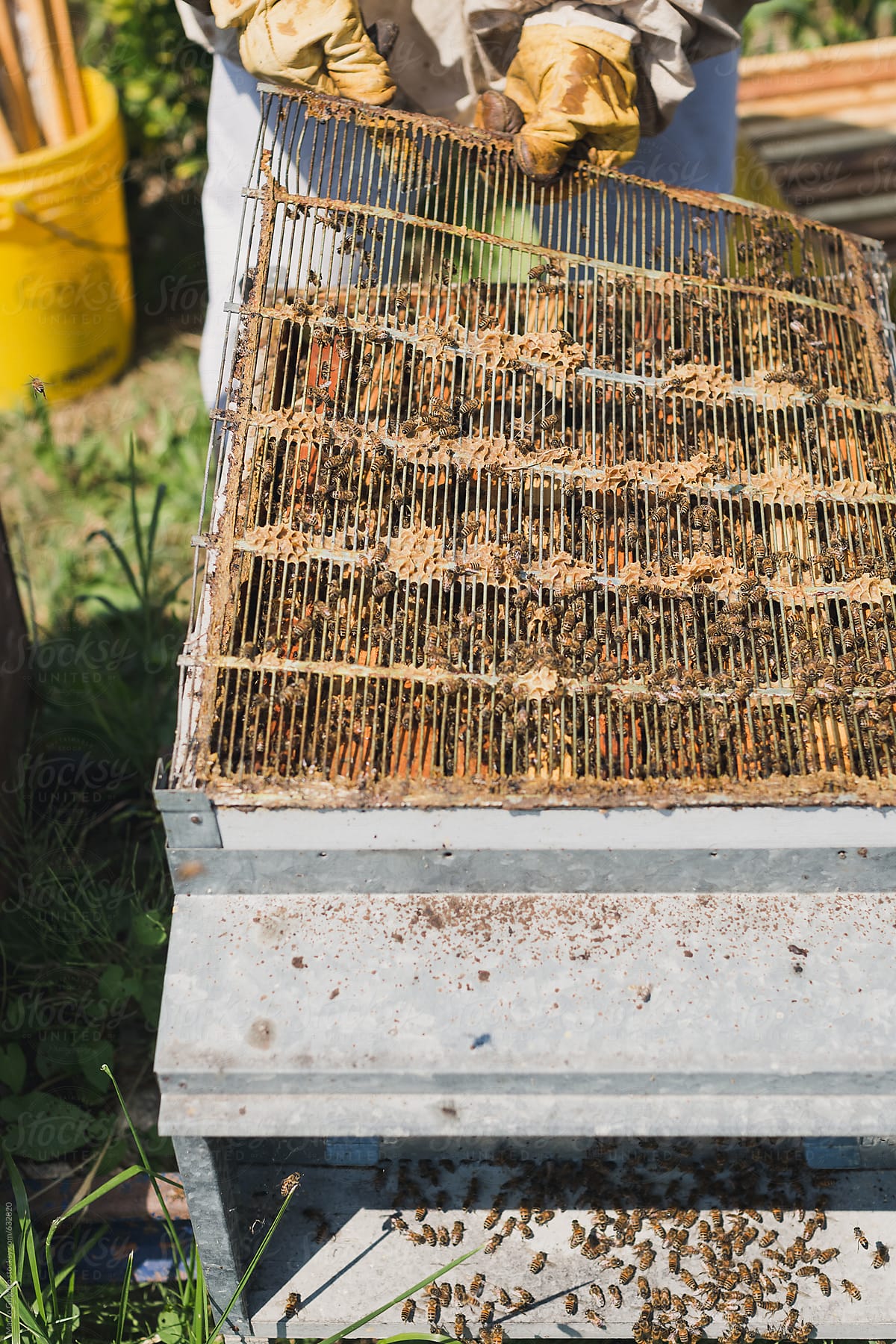 Farmer adjust the hives