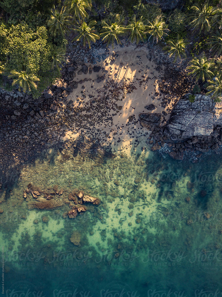 drone shot empty beach with palm trees, stones and blue water