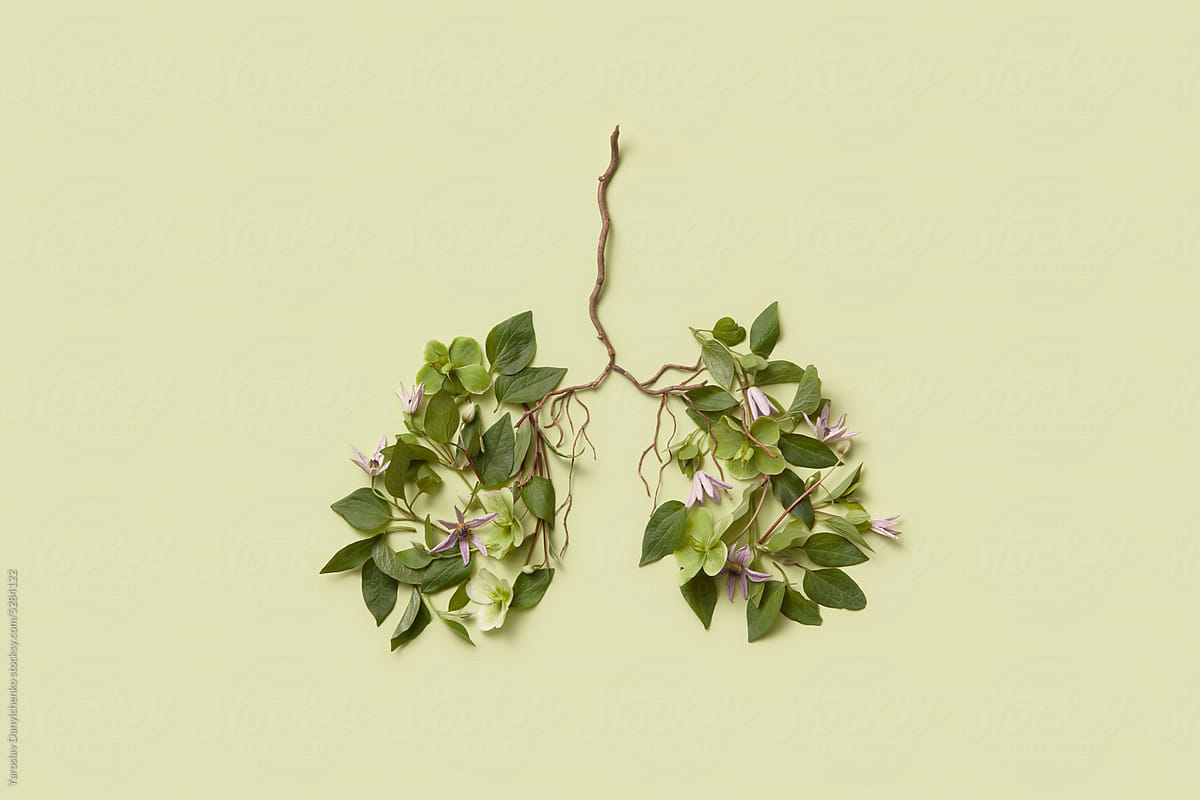 Leaves and flowers in shape of human lungs.