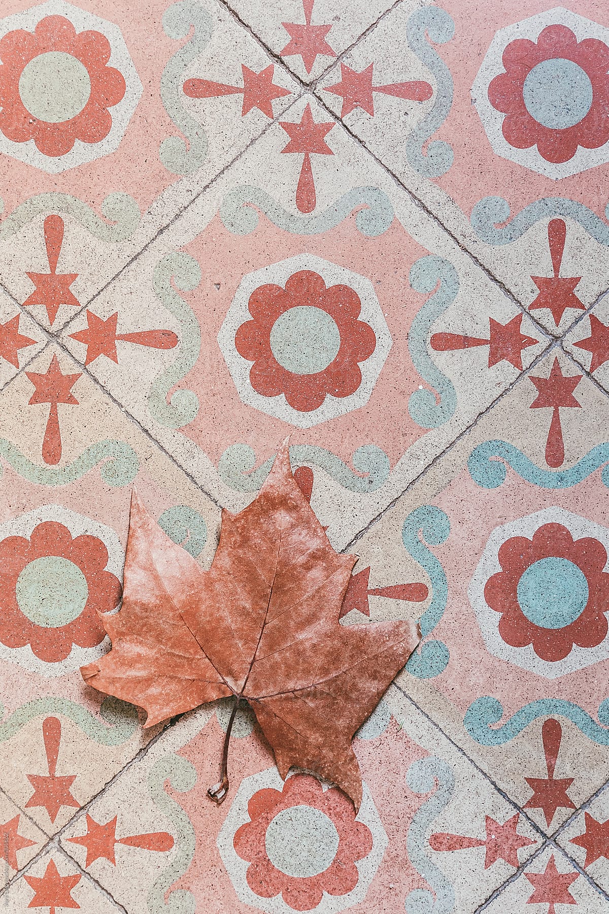 Plane leaf on vintage tile