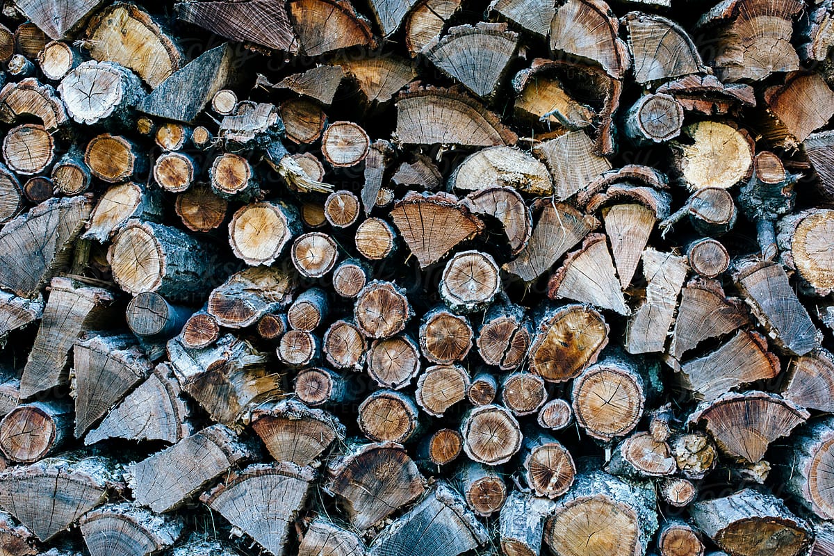 The ends of logs in a stack of firewood