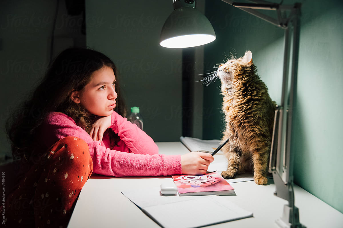 Young girl playing with her cat