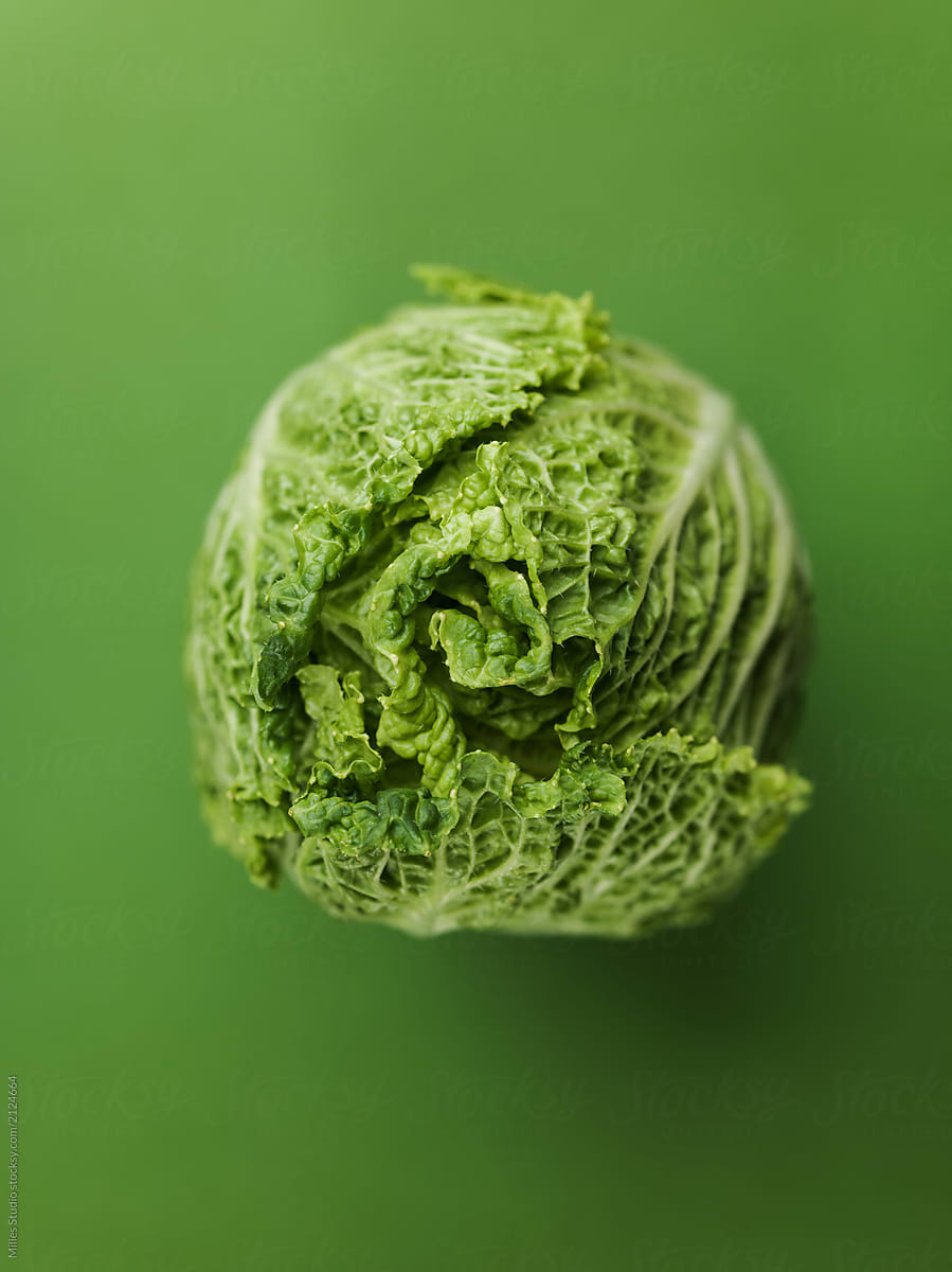 Lush leafy green cabbage head