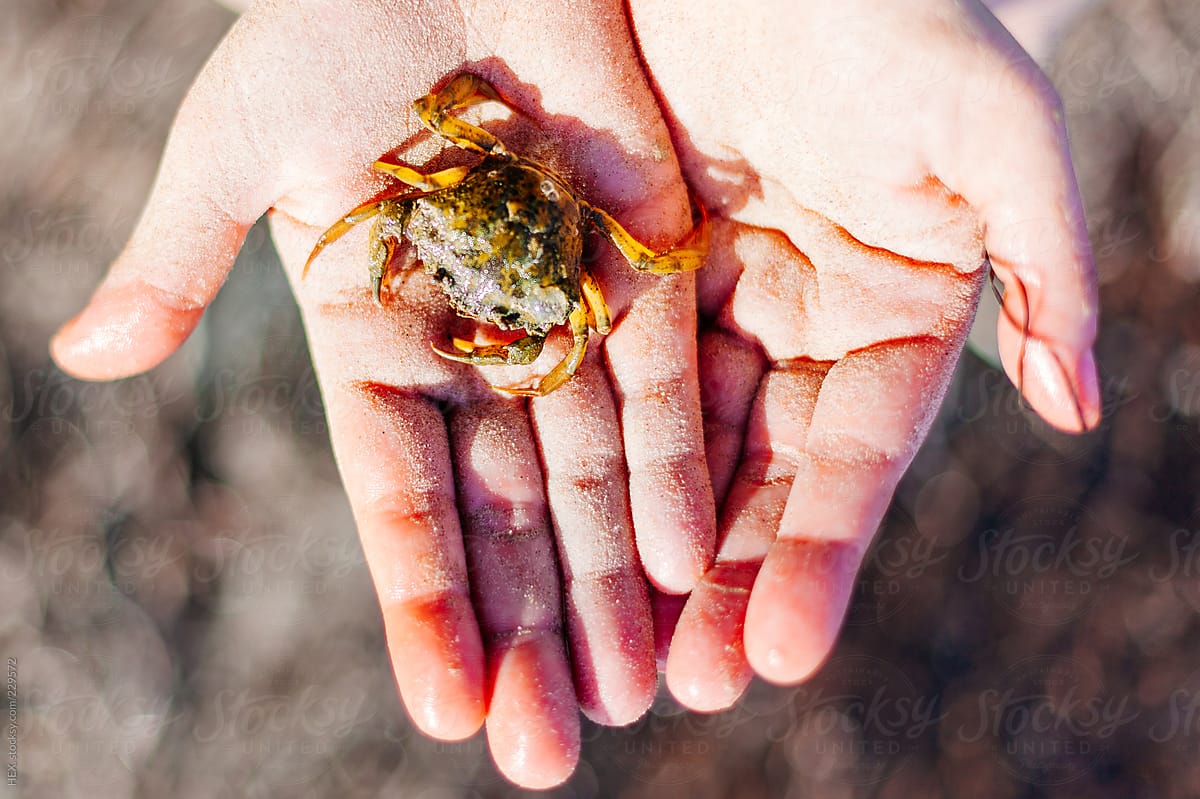 Woman Holding a Crab in her Hands