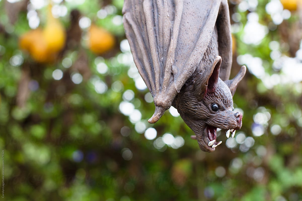 Freaky Halloween bat decoration