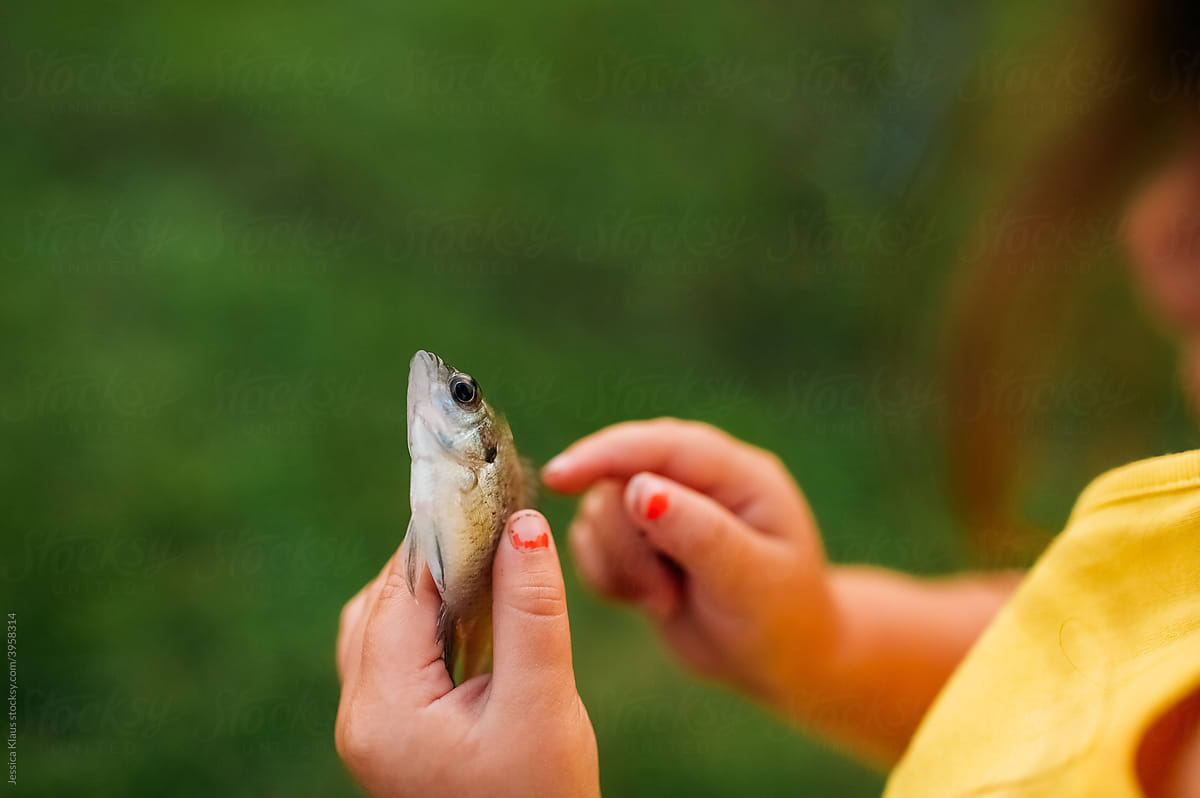 Small fish being held in child\'s hand.