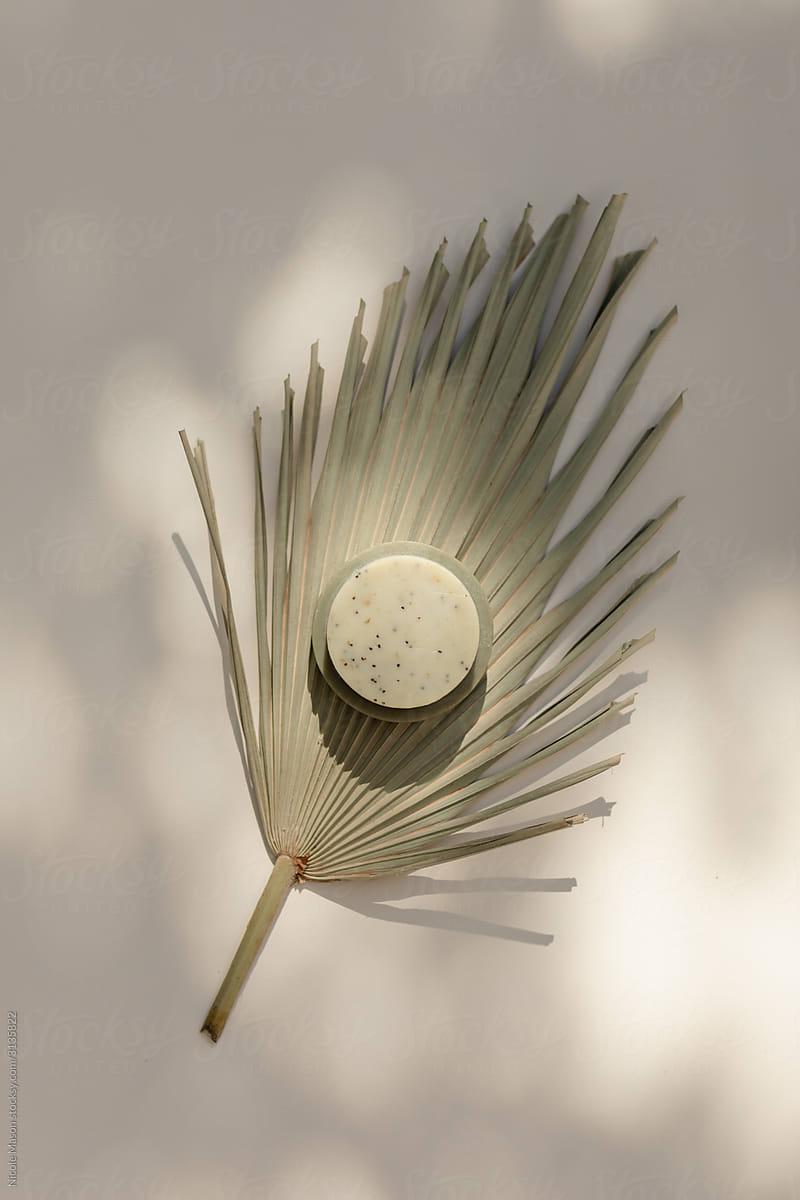 minimal still life of natural soap with palm leaf in dappled light on cream background