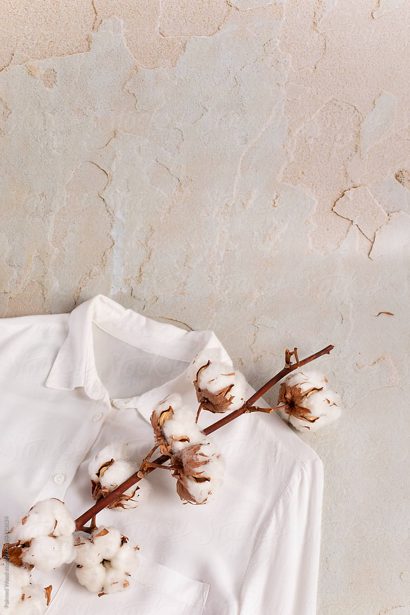 Cotton branch and white shirt