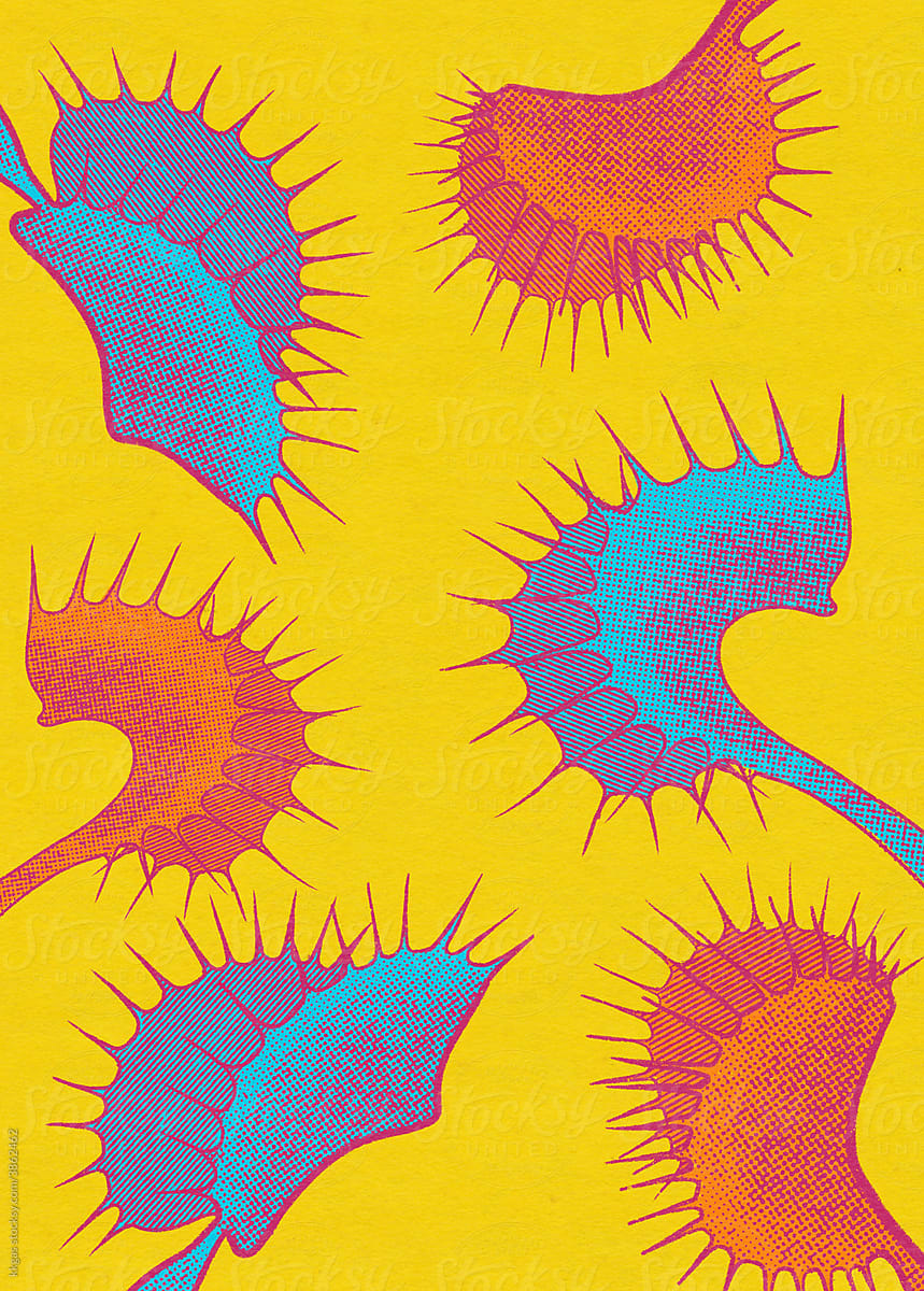 Venus flytrap illustration