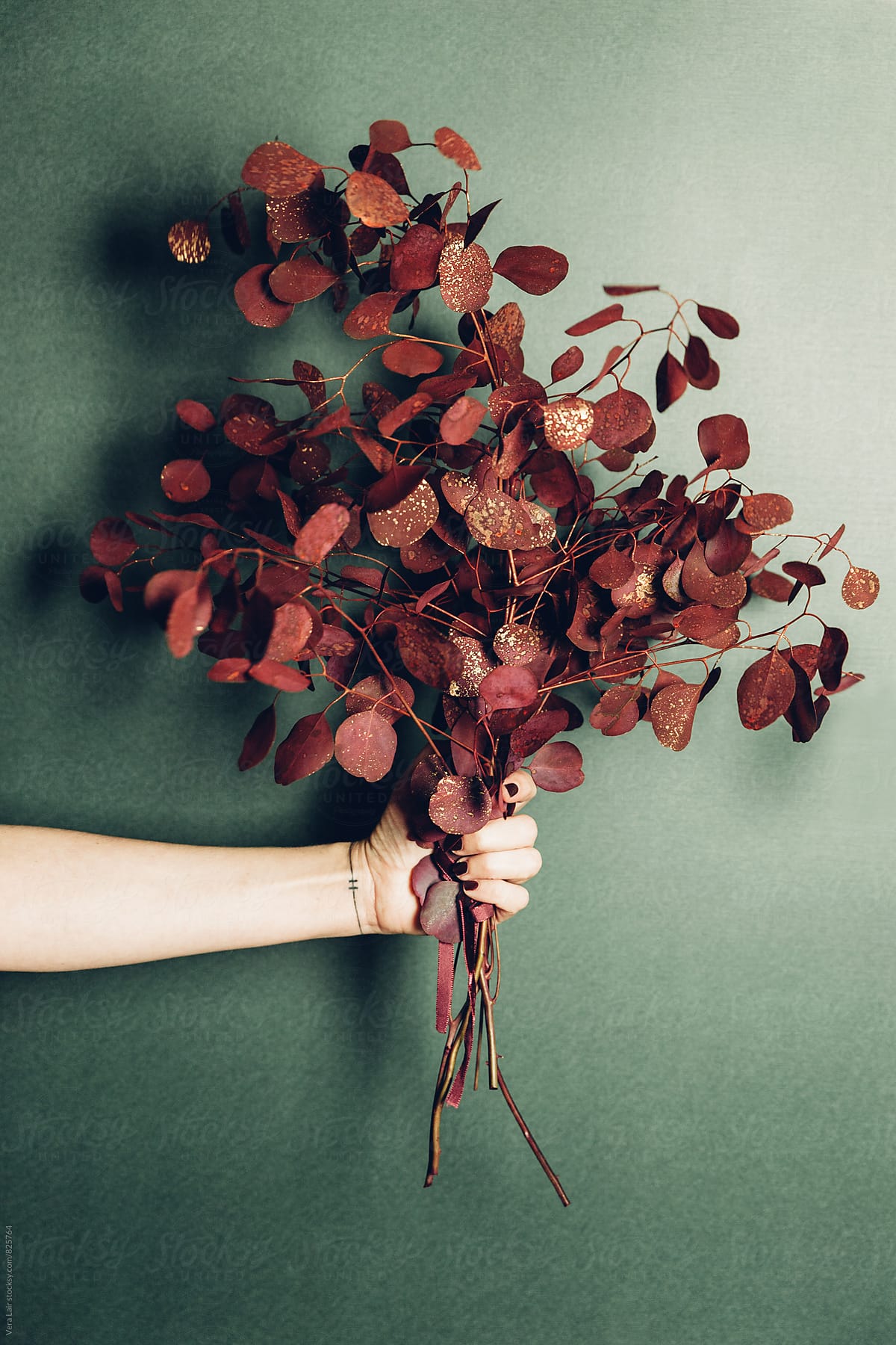 Hand holding a bouquet of red eucalyptus