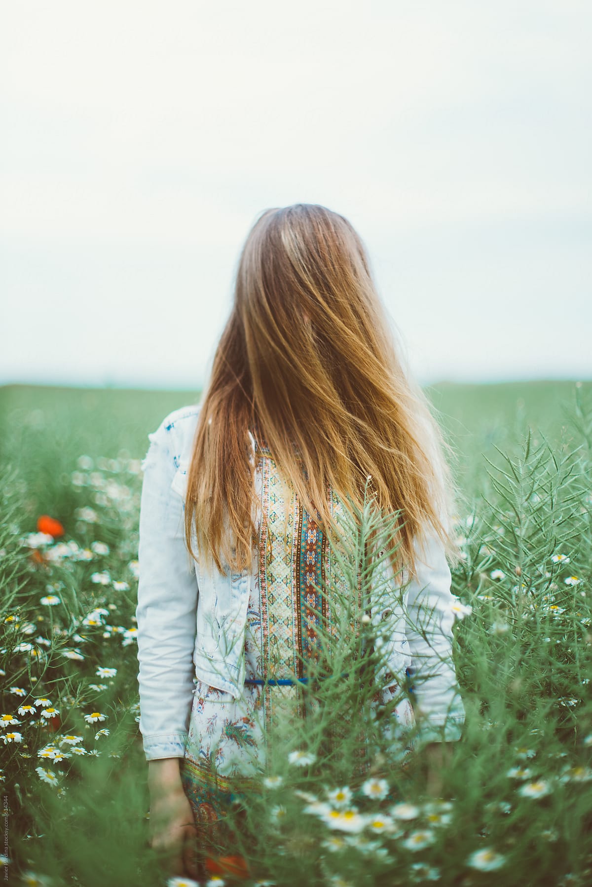 Artistic photograph of a young blonde woman in a green field of ceral, in spring.