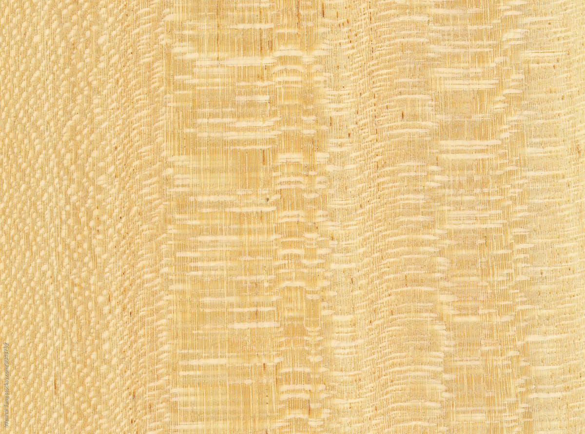 Macro photo of wood cross section Wood grain texture background