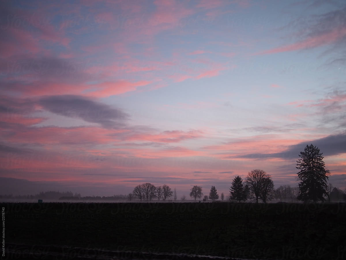 A foggy farm sunset with pink and purple clouds