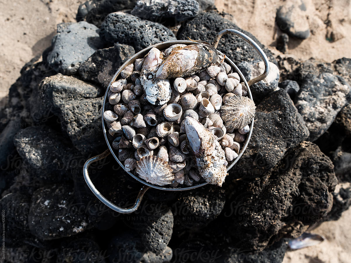 Pile of seashells in saucepan