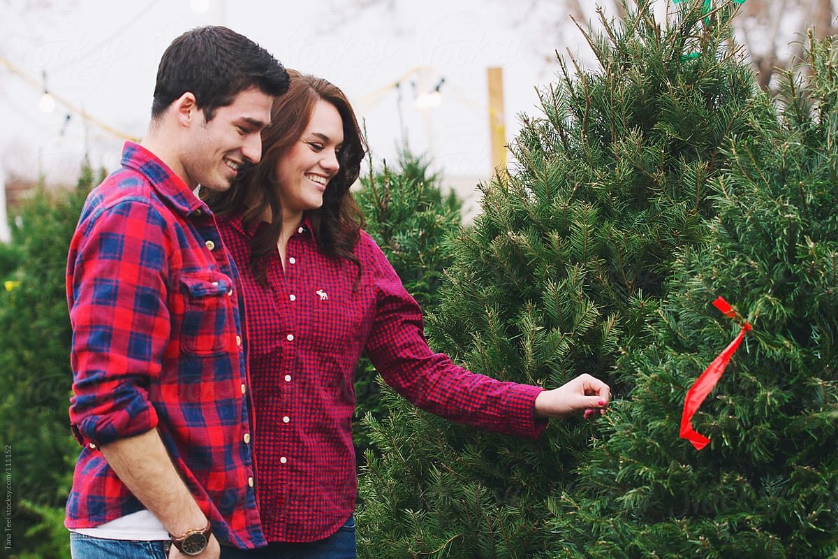 A couple search for a Christmas tree together in a tree lot during the holiday